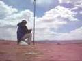 DX on the Mesa with a Buddistick