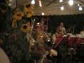 videos de Sunshine - Alpenspitzen Bilthoven