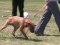SitMeansSit RI Seminar
