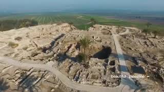 من قرية اللجون المهجرة تل المتسلم جنين فلسطين ??