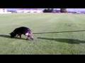 Barret Tracking- 8/20/08