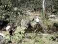 videos de Fantic relive, pacific Park