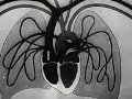 Experiments in the Revival of Dead Organisms Experiments in the Revival of Dead Organisms