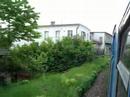 Sulzerul lenes/Lazy Sulzer