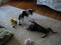 Playing #2