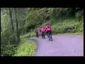 Pedals de Occitania