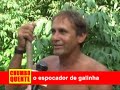 ESPOCADOR DE GALINHA