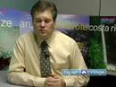 Why Use A Trip Advisor : Medical Insurance: Using A Trip Advisor