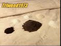 The Process of Making Gold...