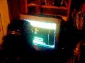 vanessa playing a game