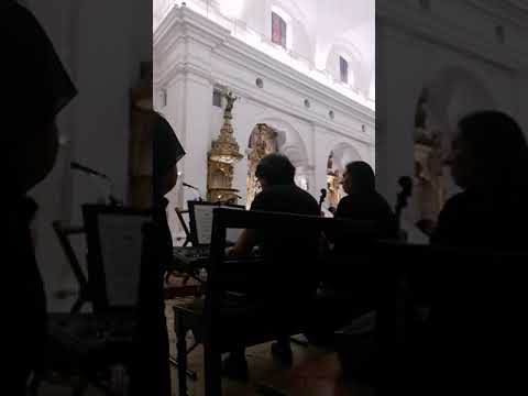 Cantante y piano para ceremonias
