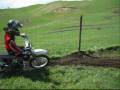 Leightons and Kosters NZ