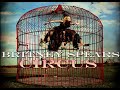 Britney Spears Circus 2008 Covers