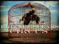 Britney Spears Circus 2008 Covers