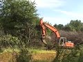 ICC Tree Removal Part 3 ICC Tree Removal Part 3