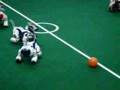 RoboCup Japan Open 2007 Osaka (AIBOサッカー)