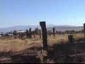 Turkey Ahlat