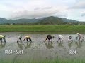 Flood-tolerance-in-r
