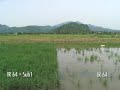Flood-tolerance-in-r