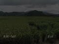 Flood-tolerance-in-r