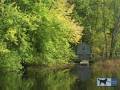 Dog Travel Channel - Concord MA