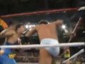 Frenzied Finale at Survivor Series '93