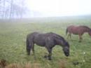 Marius et C�dric