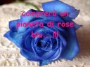 superamore