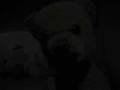 Buzzelbär (Steiffteddy 1973).wmv