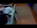 Aesya Malika @ SDMC