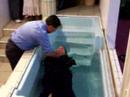 NLAC Jesus\