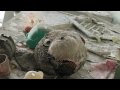 Припять