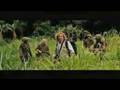 Tropic Thunder - trailer del comico Ben Stiller