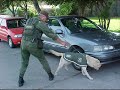 Himno - Carabineros de Chile.