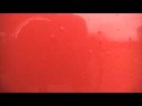 muscle cars by e40