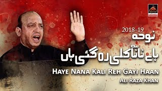 Noha - Haye Nana Kali Reh Gayi Haan - Ali Raza Khan - 2018