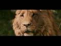  - MovieZen Video
