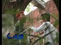 Lahori girls Dating in Baagh-e-Jinnah