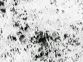 PYMATHON: MUTILATED BY MIDNIGHT