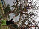 mdv-barra-velha.html