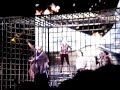 Madonna Sorry - Chicago 19th