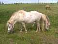 Havránk?v cyklovýlet do ZooParku Zel?ín Havránk?v cyklovýlet do ZooParku Zel?ín