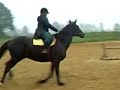 Loulou galope :D Loulou galope :D