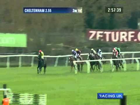 paddy power cheltenham