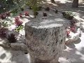 Magical Maya Tulum - Barefoot Works Yoga Retreat Magical Maya Tulum - Barefoot Works Yoga Retreat