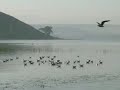 Ethiopia - Lake Awas Ethiopia - Lake Awas