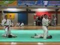 Ju Jutsu AAMA
