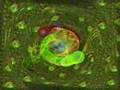 Shpongle - Schmaltz Herring