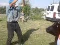 Menel Dance Menel Dance