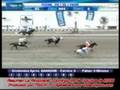 videos de Resumen carreras dom-26-oct-2008